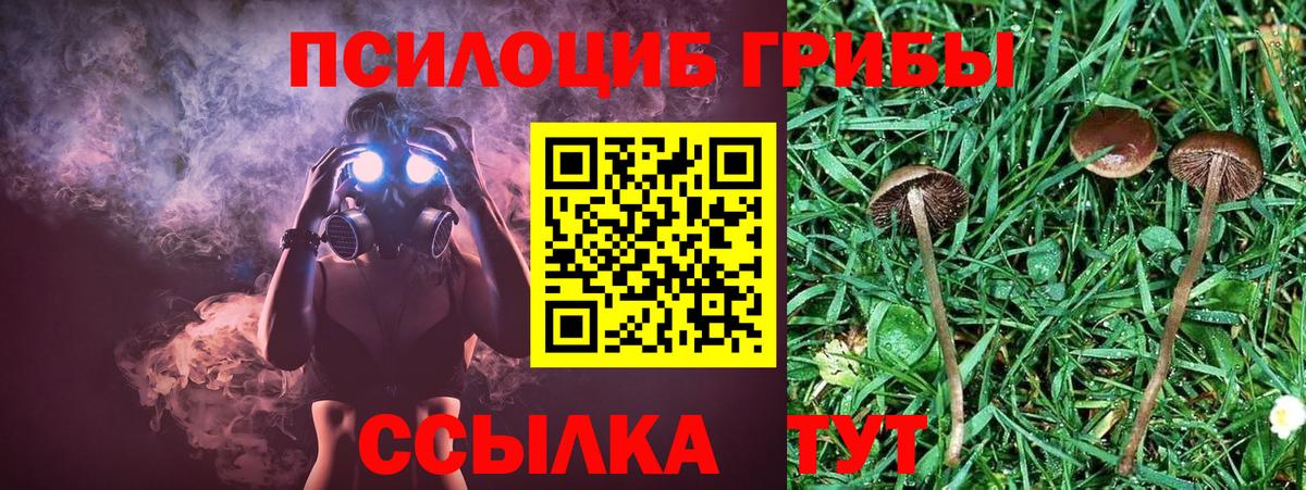 Псилоцибиновые грибы MAGIC MUSHROOMS Балашиха