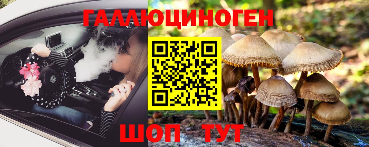 Балашиха  Псилоцибиновые грибы MAGIC MUSHROOMS  Псилоцибиновые грибы GOLDEN TEACHER  Вход с VPN 